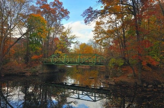 Illustration for article titled Shooting Challenge Fall Leaves Gallery 6